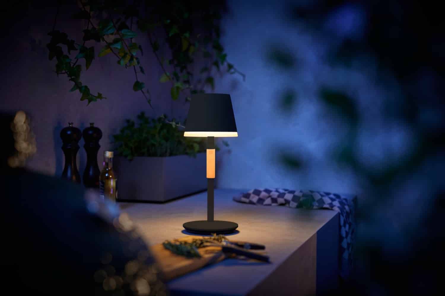 Betydning pris forene Philips Hue Go: Special Edition & possibly delayed market launch -  Hueblog.com