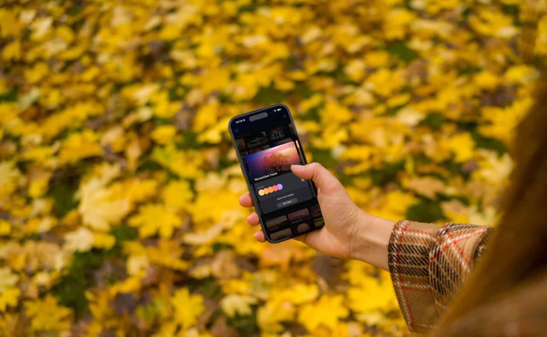 Hueblog: Philips Hue delivers eight new autumn scenes